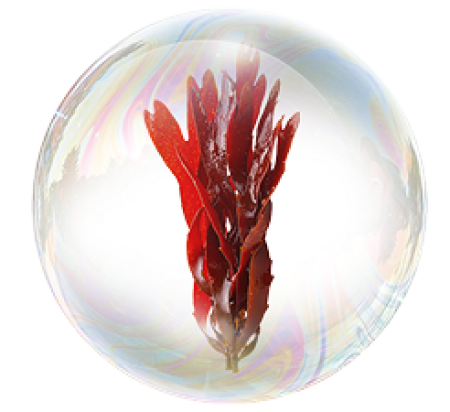 Carrageenanul de sodiu