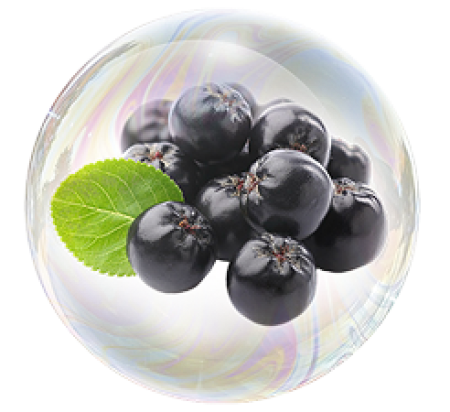 Boabele de Chokeberry